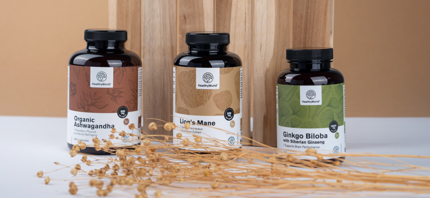 Εγκέφαλος και νευρικό σύστημα