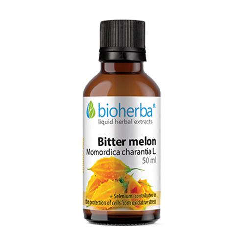 Πικρό πεπόνι - βάμμα