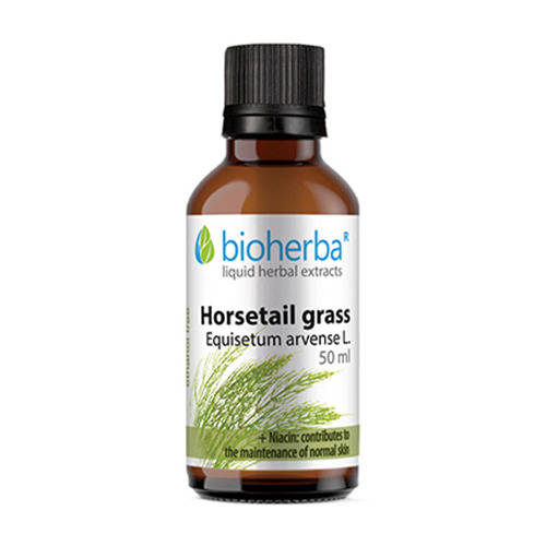 Ιππουρίδα των αγρών - βάμμα, 50 ml