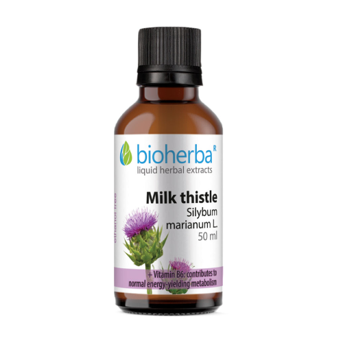 Γαϊδουράγκαθο - βάμμα