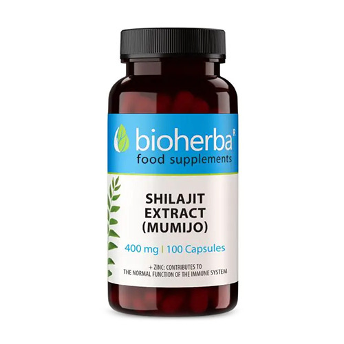 Shilajit (Mumie) 400 mg