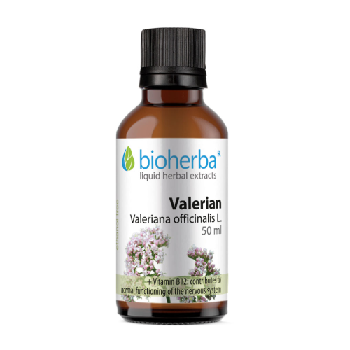 Βαλεριάνα - βάμμα