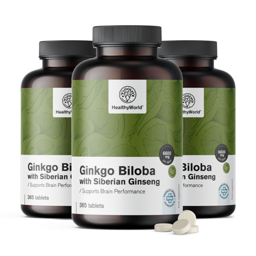 3x Ginkgo biloba με τζίνσενγκ Σιβηρίας 6600 mg, συνολικά 1095 δισκία