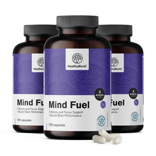 3x Mind Fuel - μνήμη και συγκέντρωση, συνολικά 360 κάψουλες