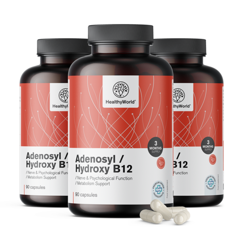 3x Adenosyl/Hydroxy B12 2000 µg, συνολικά 270 κάψουλες