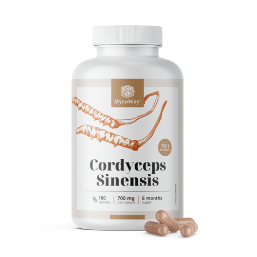 Cordyceps sinensis 1400 mg - εκχύλισμα 10:1, 180 κάψουλες