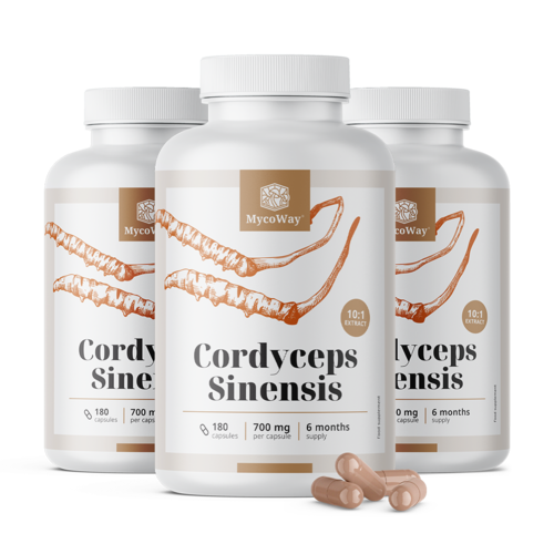 3x Cordyceps sinensis 1400 mg – εκχύλισμα 10:1, συνολικά 540 κάψουλες