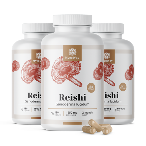 3x Reishi 1950 mg – εκχύλισμα 5:1, συνολικά 540 κάψουλες