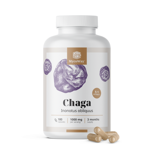 Chaga 1000 mg – εκχύλισμα 5:1, 180 κάψουλες