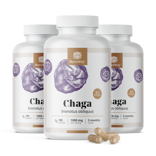 3x Chaga 1000 mg – εκχύλισμα 5:1, συνολικά 540 κάψουλες