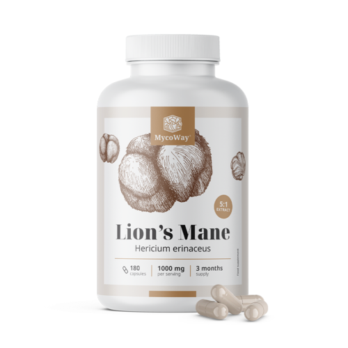 Ερίκιο 1000 mg – εκχύλισμα 5:1, 180 κάψουλες