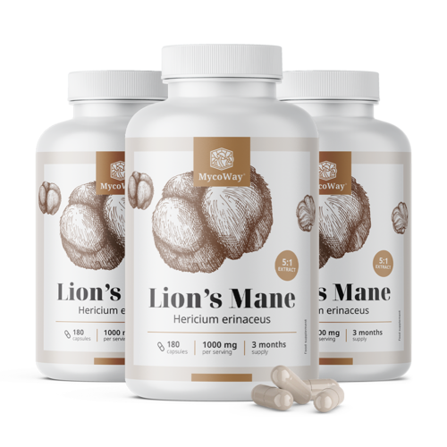 3x Ερίκιο 1000 mg – εκχύλισμα 5:1, συνολικά 540 κάψουλες