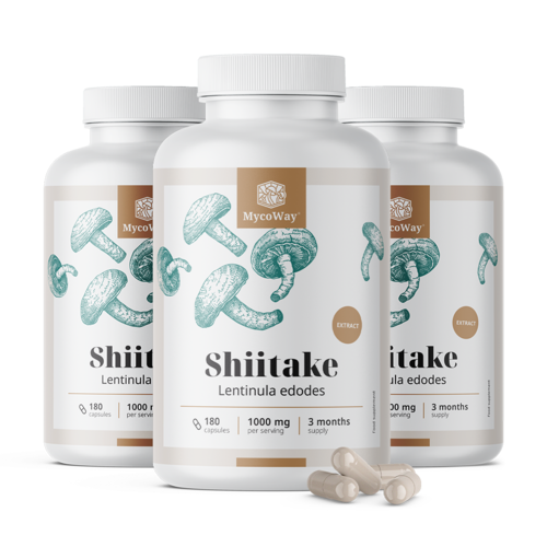 3x Shiitake 1000 mg – εκχύλισμα, συνολικά 540 κάψουλες