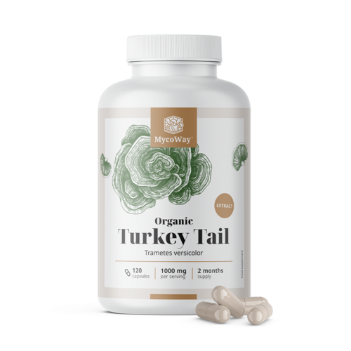 ΒΙΟ Turkey Tail 1000 mg - εκχύλισμα, 120 κάψουλες