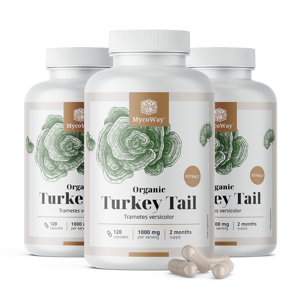 BIO Turkey Tail 1000 mg – izvleček
