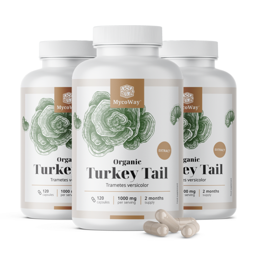 3x ΒΙΟ Turkey Tail 1000 mg - εκχύλισμα, συνολικά 360 κάψουλες