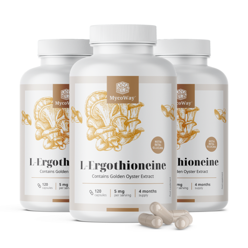 3x L-Εργοθειονίνη 5 mg, συνολικά 360 κάψουλες