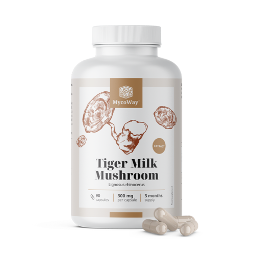 Tiger Milk 300 mg – εκχύλισμα μανιταριού Lignosus rhinocerus, 90 κάψουλες