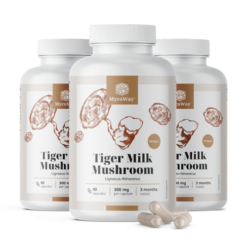 3x Tiger Milk 300 mg – εκχύλισμα μανιταριού Lignosus rhinocerus, συνολικά 270 κάψουλες