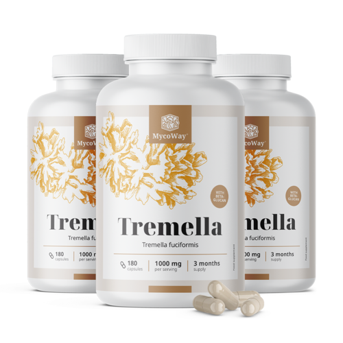 3x Tremella 1000 mg – εκχύλισμα, συνολικά 540 κάψουλες