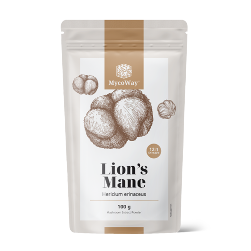 Ερίκιο (Χαίτη λιονταριού) - εκχύλισμα 12:1, 100 γρ