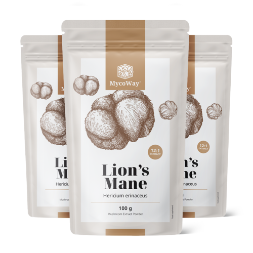 3x Ερίκιο (Χαίτη λιονταριού) – εκχύλισμα 12:1, συνολικά 300 γρ