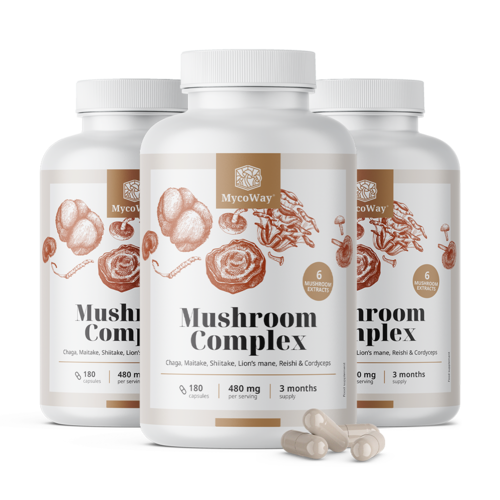 3x Σύμπλεγμα μανιταριών, συνολικά 540 κάψουλες