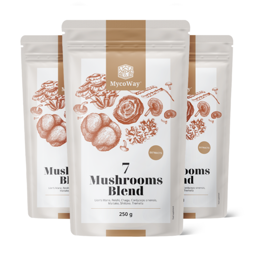 3x Μείγμα εκχυλισμάτων επτά μανιταριών σε σκόνη, συνολικά 750 γρ