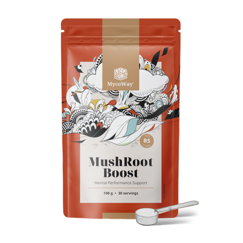 MushRoot Boost – ρόφημα για πνευματική απόδοση, 100 γρ