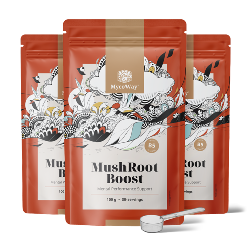 3x MushRoot Boost – ρόφημα για πνευματική απόδοση, συνολικά 300 γρ