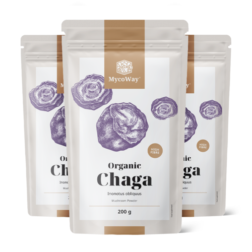 3x BIO Chaga σε σκόνη, συνολικά 600 γρ