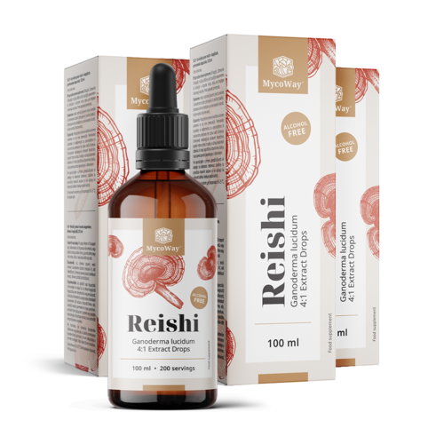 3x Reishi – εκχύλισμα σε σταγόνες, συνολικά 300 ml