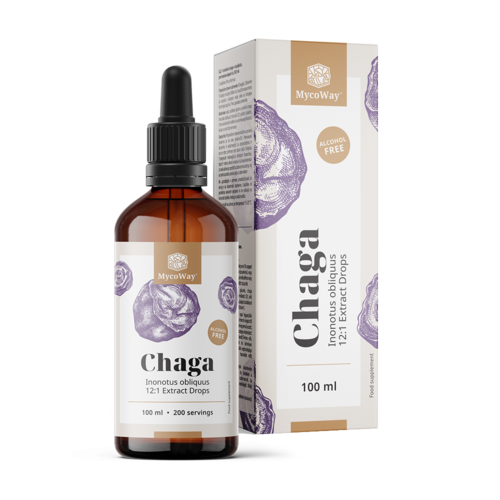 Chaga – εκχύλισμα σε σταγόνες, 100 ml