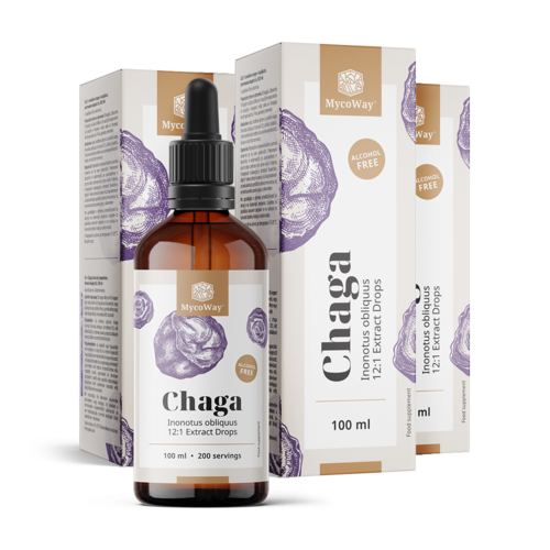 3x Chaga – εκχύλισμα σε σταγόνες, συνολικά 300 ml
