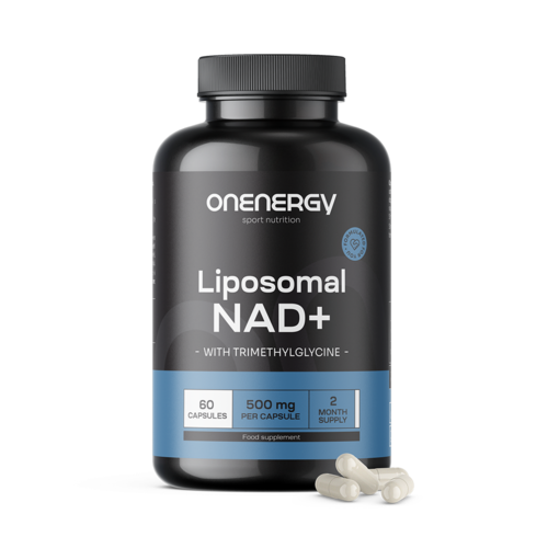 Λιποσωμιακό NAD+ 500 mg - με τριμεθυλογλυκίνη, 60 κάψουλες